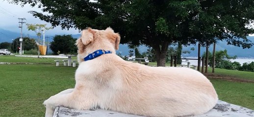 10ª Semana do Tempo Comum: Terça-feira, 8