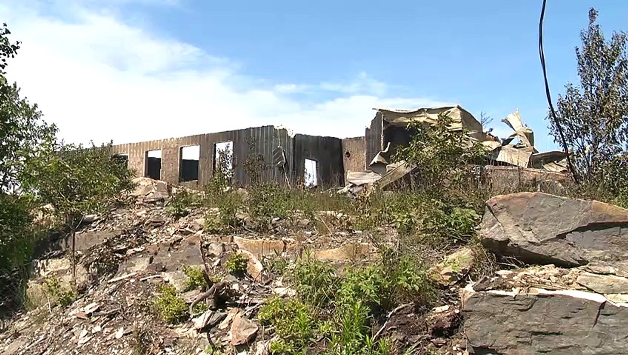 topo feu foret st-denis