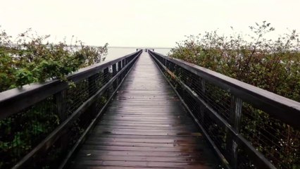 The Overlook at Paynes Prairie State Preserve (Gainesville, FL) - Travel Video Tour & Review