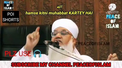  अल्लाह हमसे कितनी मुहब्बत करते हैं #peaceofislam #Maulana Sajjad nomani