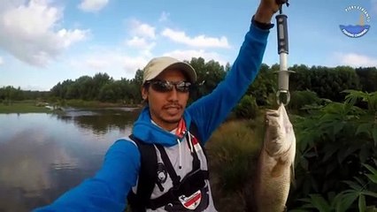 Casting di Empang Tak Terurus Ikannya Lapar Semua