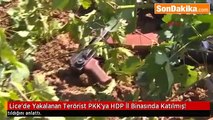 Yakalanan teröristten şok itiraflar: HDP binasında...