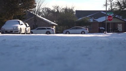 Power Grid overhaul after Texas winter blackouts