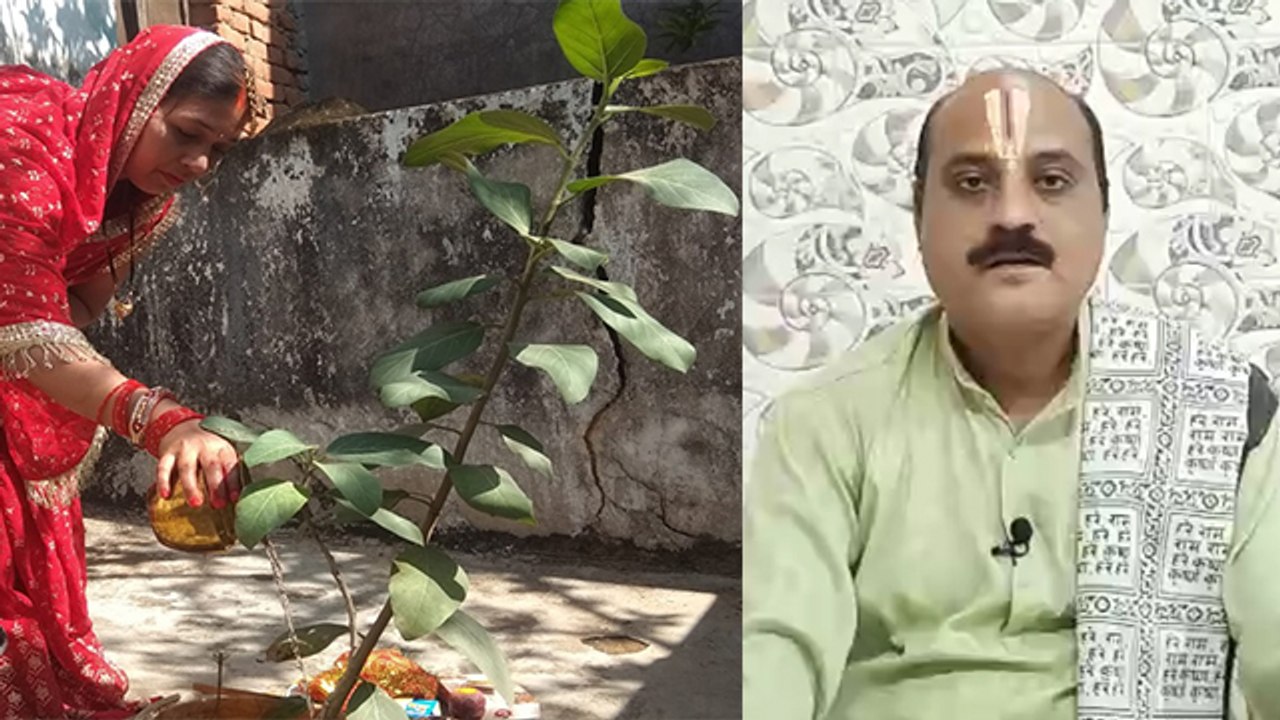 Vat Savitri Vrat 2021: वट सावित्री व्रत विधि | Vat Savitri Vrat Vidhi | Boldsky