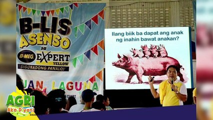 “HOG RAISING PART 1” Ep.63 AGRI Ako D’yan