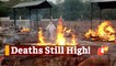 Odisha Covid-19 Update: Marginal Increase In Daily Cases, Fatalities Still High