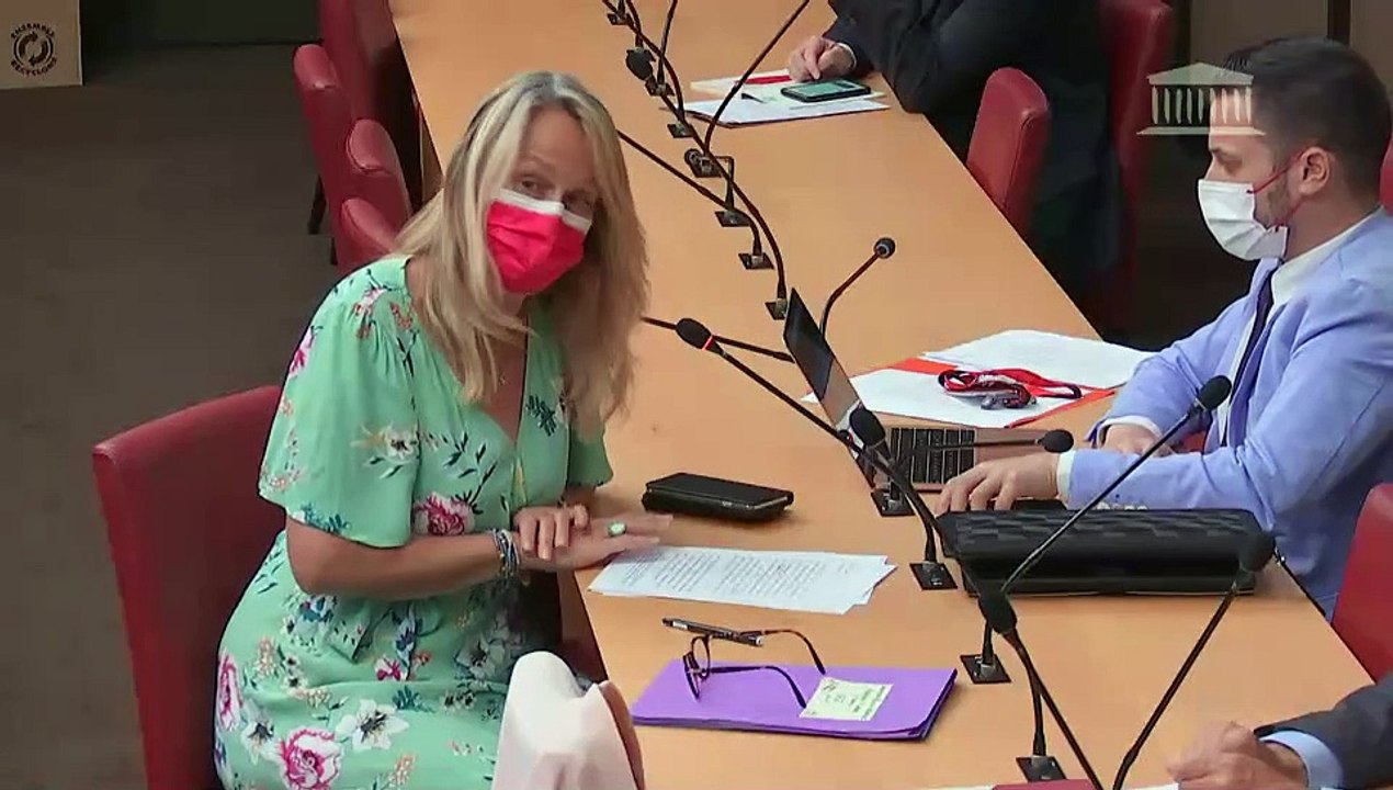 Commission des affaires culturelles : Mme Anne Grand d’Esnon, pressentie par le président de l’Assemblée nationale pour siéger au sein du collège du CSA - Mardi 8 juin 2021