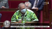 Essais du cannabis thérapeutique en Polynésie : pas pour maintenant