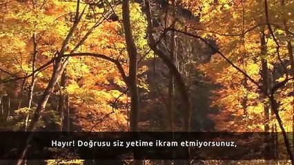 Hafız Osman Bostancı 'Fecr Sûresi'