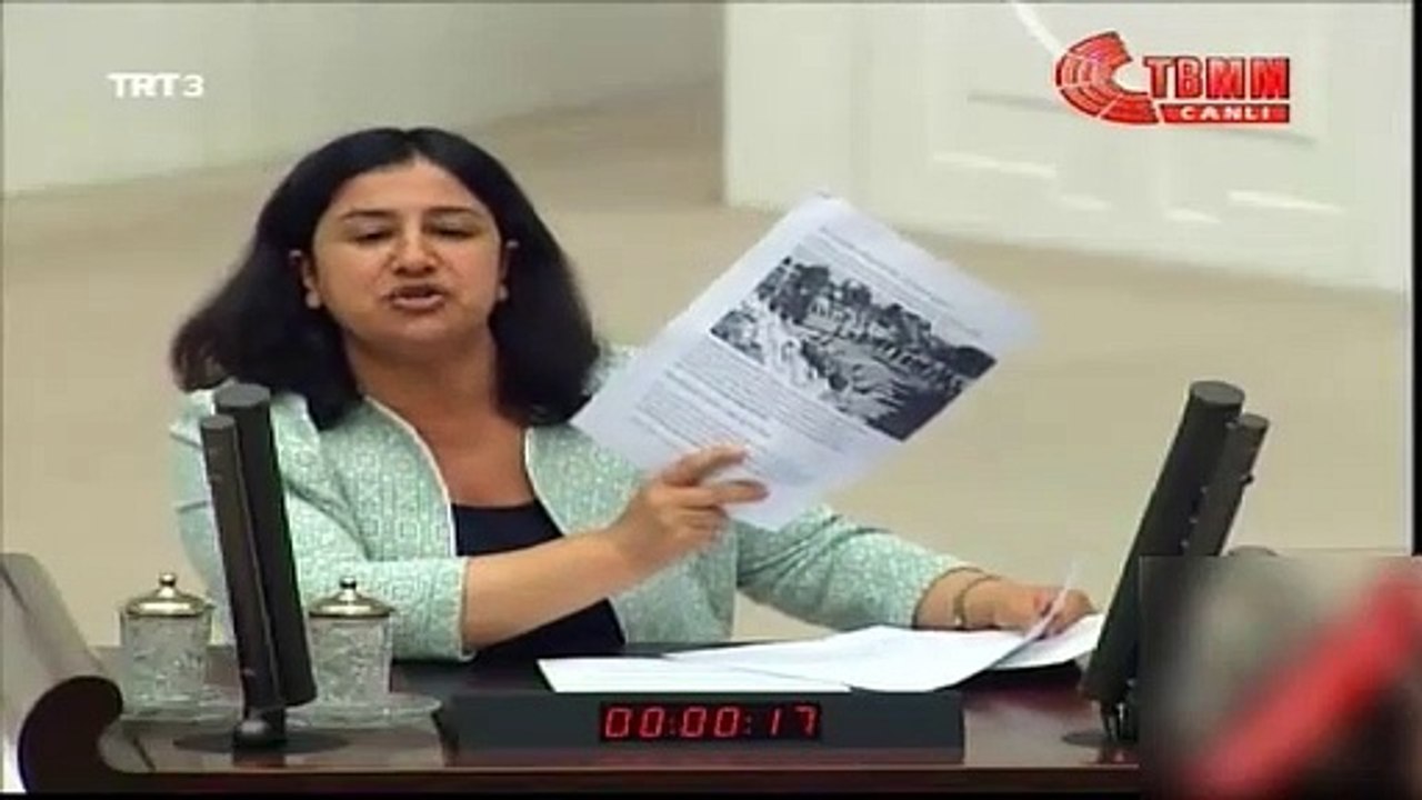 HDP'li Çağlar Demirel'e tokat gibi cevap