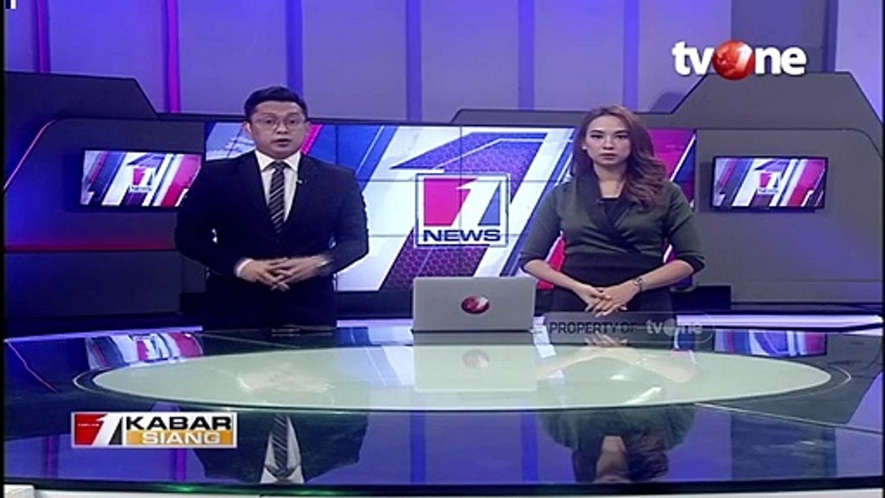 Orangutan Tamasya di Permukiman Warga