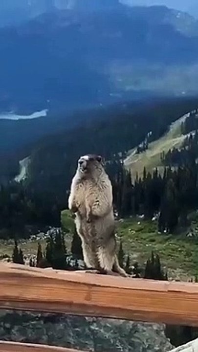noooo