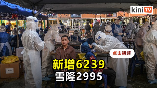 新增6239重返6千大关 雪隆2995森州507