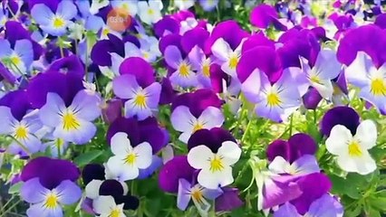 كيف تواجة لحظة الدقائق الاخيرة المتبقية لك في الدنيا ؟؟