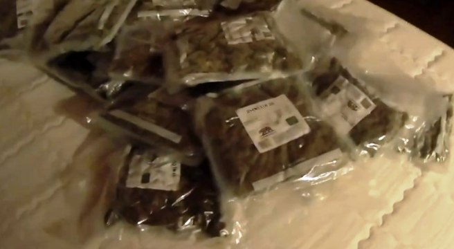 Torino - Droga dalla Spagna tramite corrieri postali con Gps: 2 arresti (09.06.21)