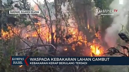 Kebakaran Lahan Gambut Kerap Berulang Terjadi
