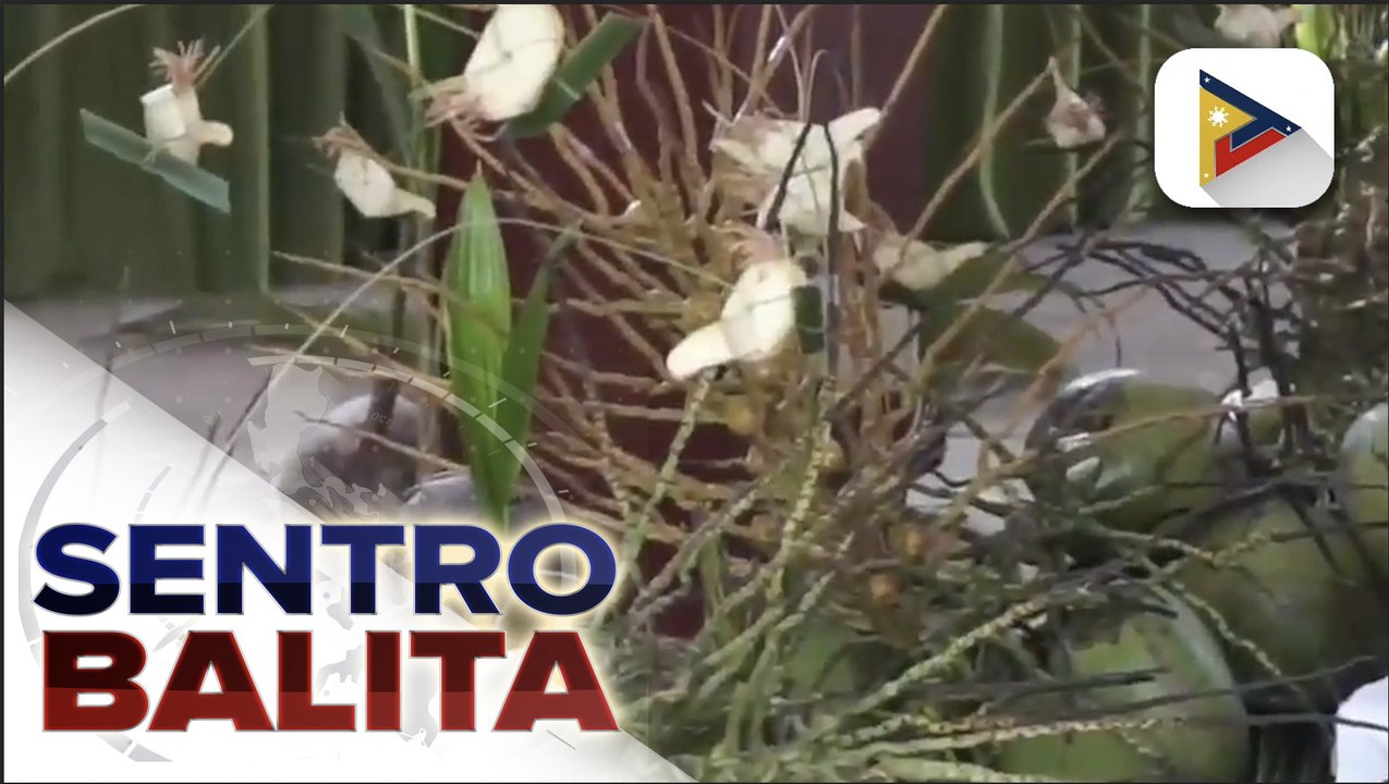 Coconut farmers sa Agusan del Norte, nakatangga...