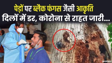 Corona Update: पिछले 24 घंटे में एक लाख से कम कोरोना केस, मरने वालों की संख्या अब भी 2 हजार के पार