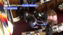 Bolivian politicians trade kicks and punches during Congress session