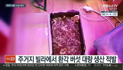 지난해 마약 사범 '사상 최다'…다크웹 판매 증가