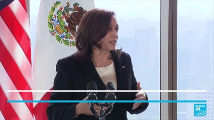 US Vice President Harris pledges to visit US southern border