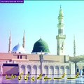 Is Karam Ka Karoon Shukar Kaise Ada - Naat WhatsApp Status - Lyrical Video - Islamic Status Video