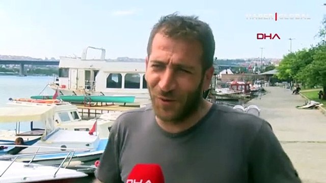 Haliç'te 2 metre boyunda köpek balığı!