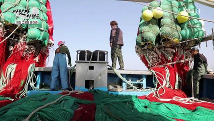 바닷가 사람들 - 기회의 바다, 숙명의 갈치잡이 2부_#002