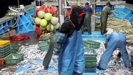 바닷가 사람들 - 기회의 바다, 숙명의 갈치잡이 2부_#003