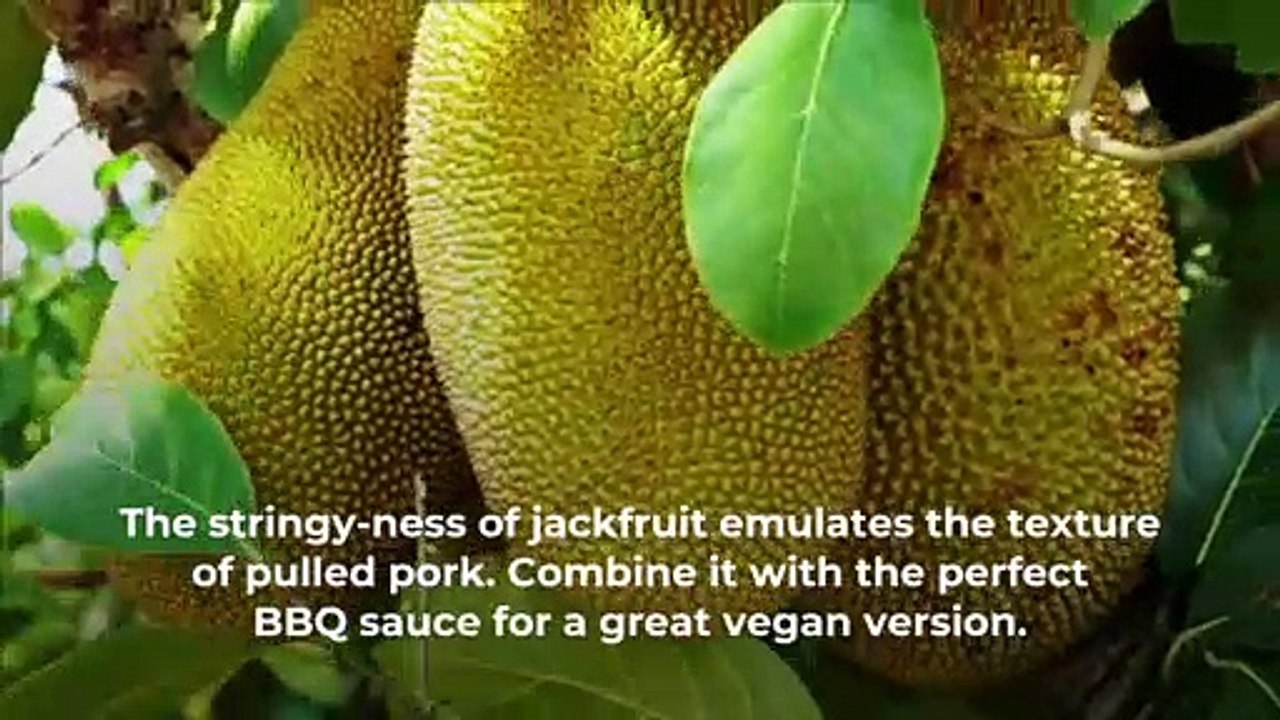 Your Favorite Meatless Meals, How to Make Them?