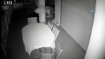 Köpek villaya giren hırsızı kovaladı