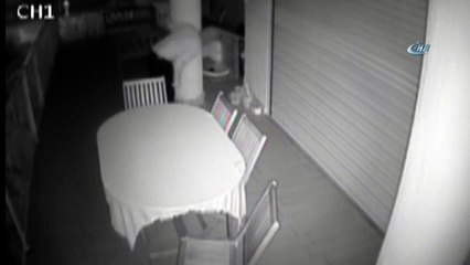 Köpek villaya giren hırsızı kovaladı