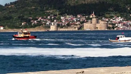 Çanakkale Boğazı'nda müsilaj yoğunluğu artıyor