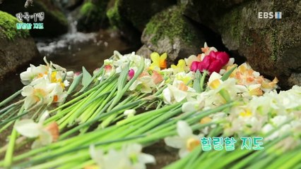 한국기행 - Korea travel_힐링할 지도 3부- 우리들의 비밀 낙원_#002