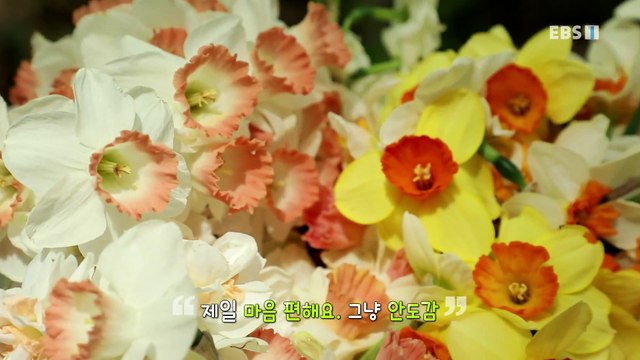 한국기행 - Korea travel_힐링할 지도 3부- 우리들의 비밀 낙원_#001