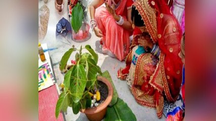 Vat Savitri Vrat 2021: परिजन की मृत्यु हुई तो वट सावित्री व्रत पूजा करें या नहीं | Boldsky