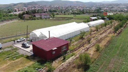 Bu sera hem öğretiyor, hem de ata tohumu çoğaltıyor