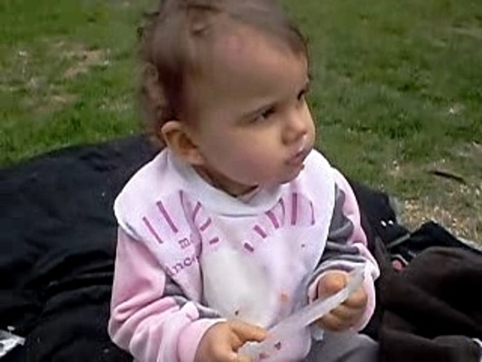 elsa pique nique