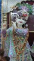 Bhajan Diary - मुरली वाले तू मुरली बजादे #bhajan #krishna