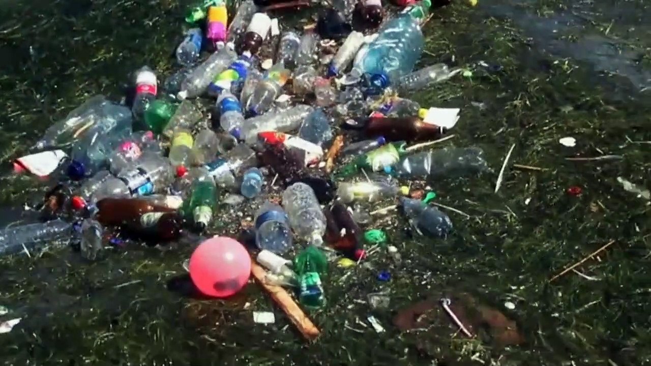 Día Mundial de los Océanos: iniciativas para la conservación y protección de los mares y océanos