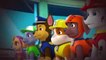 Paw Patrol S04E07 Pups Save the Critters