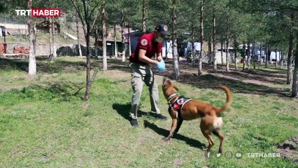 Zehir tacirlerinin korkulu rüyası, ekiplerin en büyük yardımcısı