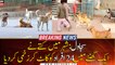 Dog bites 24 people in 60 minutes in Sajawal