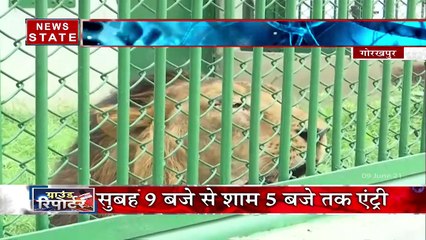 गोरखपुर का चिङिया घर को आम लोगोें के लिए खोल दिया गया, बिना मास्क के नहीं मिलेगी एंट्री