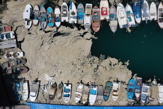 Gemlik Körfezi'nde müsilaj görülmeye devam ediyor