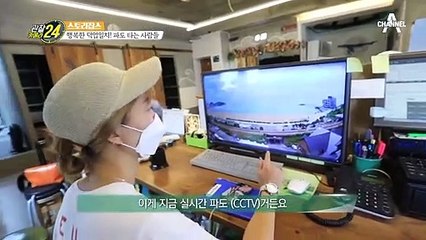 행복한 덕업일치! 파도와 함께 사는 사람들