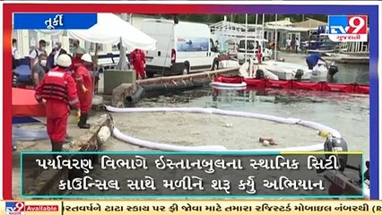 તૂર્કીમાં દરિયાની સફાઇ માટેનું અભિયાન શરૂ કરાયુ _Tv9gujaratinews