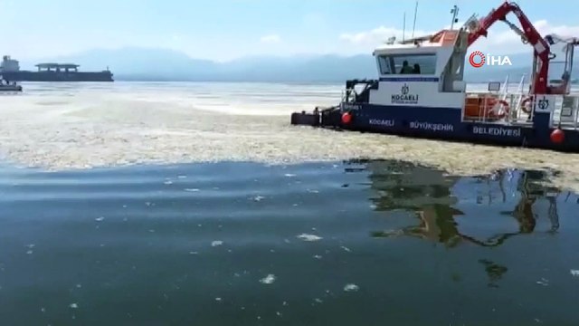 İzmit Körfezi’nde deniz salyası ile mücadele devam ediyor