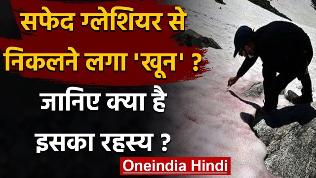 Glacier Blood: France के Glaciers हुए खून जैसे लाल, Scientists देखकर हैरान । वनइंडिया हिंदी