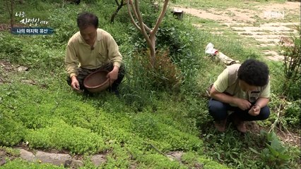 자연은 곧 행복! 소소한 것마저 행복으로 바꿔주는 자연의 힘!